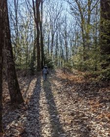 GreatOutdoors_hiking_thumb_2020.jpg